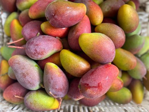 海南当季 树上熟贵妃芒 香甜多汁 4斤装 商品图4