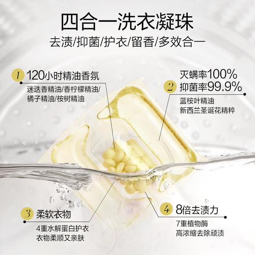 绽家蓝桉叶精油洗衣凝珠持久留香除菌去污渍 3腔10颗 桂花 商品图2