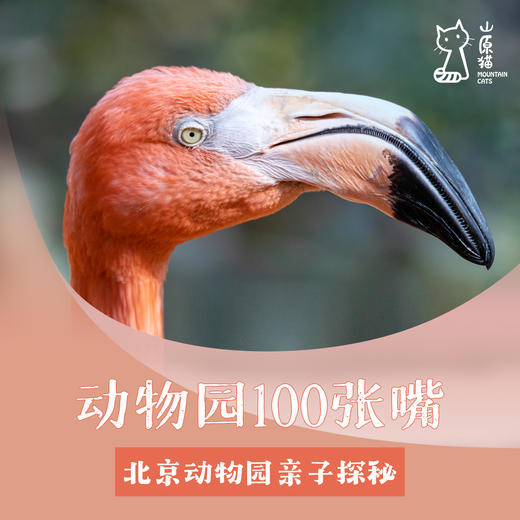 「04月25日 周六上午」动物园的一百张嘴 · 北京动物园探秘 商品图0