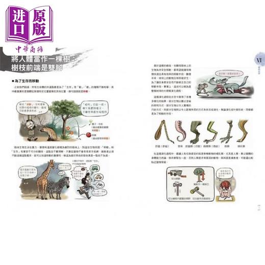 【中商原版】Stonehouse的美术解剖学笔记 港台艺术原版 石政贤 枫书坊出版 商品图2