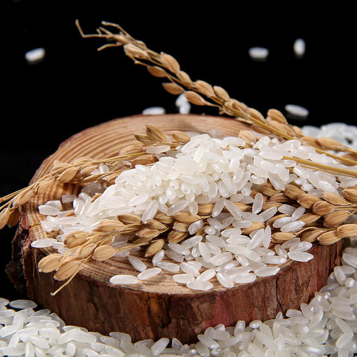 「10斤装！东北长粒香米」掌中禾黑龙江东北大米新米5kg 长粒香米粳米10斤粮油米面 商品图3