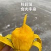 桂香芒 商品缩略图2
