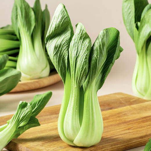 油菜 约500g 商品图1