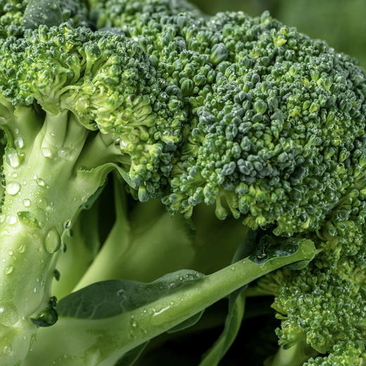 西兰花 约400g 商品图4