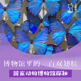 「04月18日 周六上午」博物馆里的一百双翅膀 · 国家动物博物馆探秘