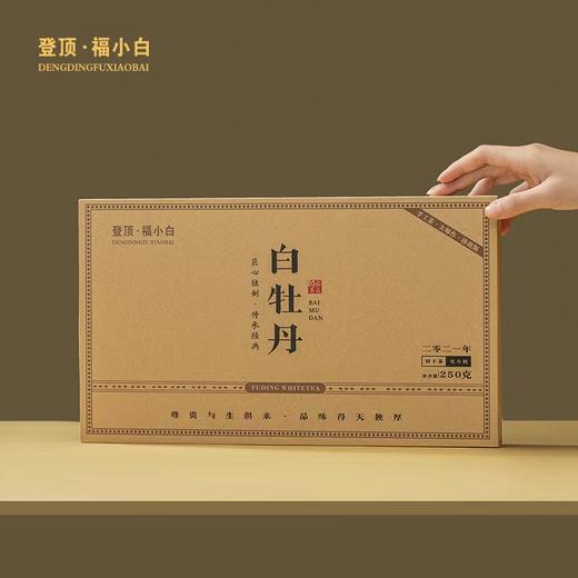 登顶·福小白 福鼎白茶2021牡丹饼干 5g*50泡 250g 商品图0