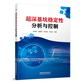 29022-1  超深基坑稳定性分析与控制