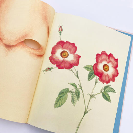 《这样折起来》《眼》（共2册） 商品图3