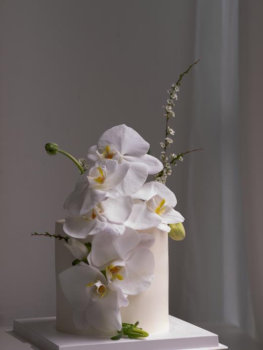 蝴蝶兰蛋糕 商品图1