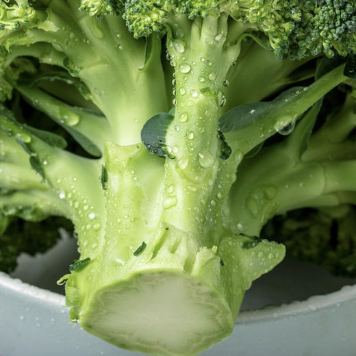 西兰花 约400g 商品图5