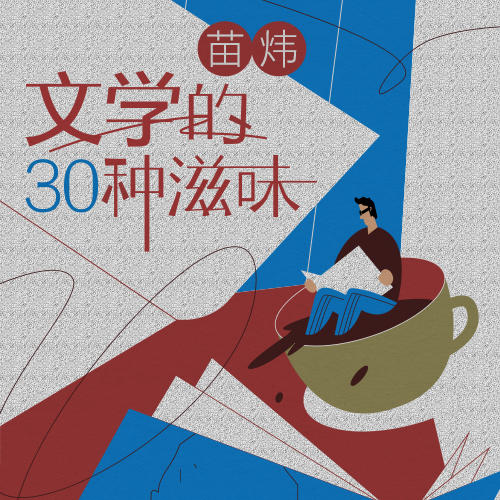 新课上线《苗炜·文学的30种滋味》，限时赠送《苗师傅的文学人生课》实体书，前100单享苗师傅签名版 商品图0