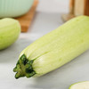 西葫芦 1个/份 商品缩略图1