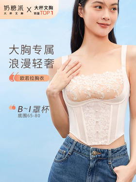 【门店积分兑换】奶糖派大杯文胸欧若拉系列真丝法式奢华刺绣文胸蕾丝胸衣