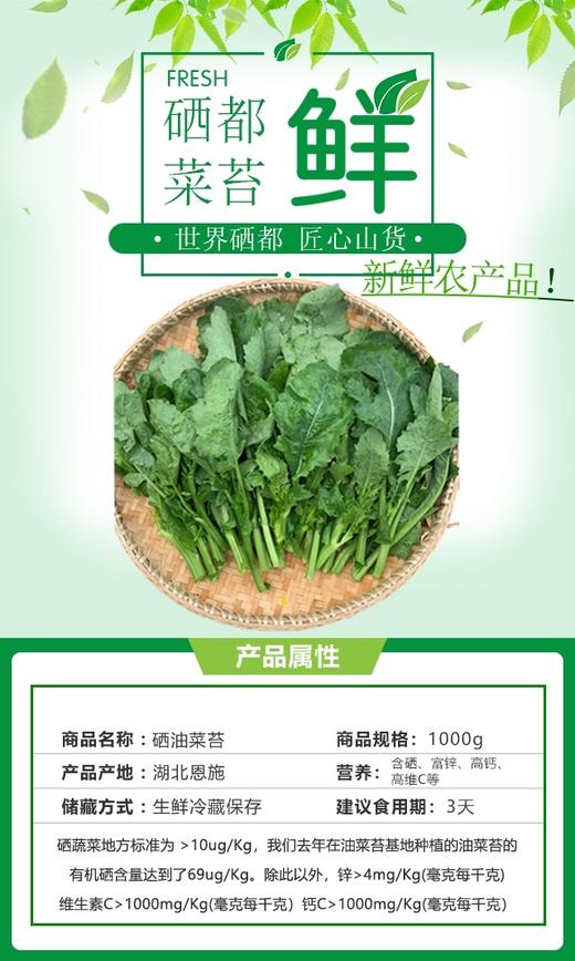 【产地直邮】湖北恩施硒油菜苔，清甜，鲜嫩，可口，当天采摘当天发货，产地直发；2月3日下午14点截单 商品图1