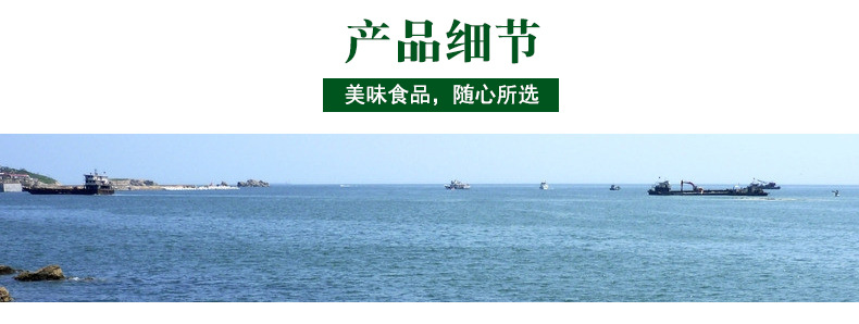 海带(改5）_05.jpg