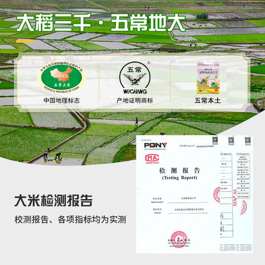 「10斤装！东北五常大米」五常稻花香2号 10斤东北大米粮油米面5kg真空包装 商品图1