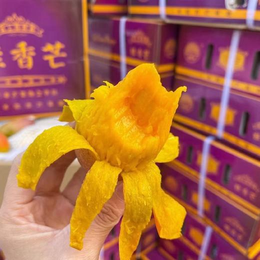 桂香芒 商品图3