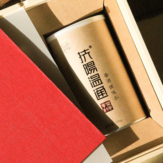 扶阳温通茶·礼盒装 | 赠手提纸袋 | 送长辈、送亲友、送同事、送客户、送自己 | 100gx2罐 商品图2
