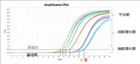 抓狂！为什么我的 qPCR 曲线每次都这么抽象、奇葩....