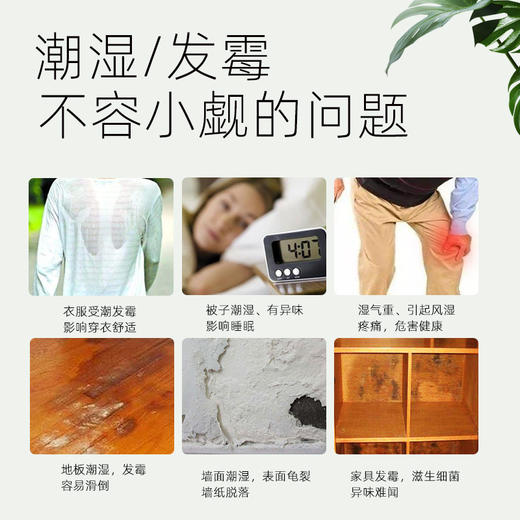 买就送除shi盒！『干爽不潮湿，告别回南天』居家专用除shi防霉块 12片装家用干燥防潮衣柜除shi片防霉除臭干燥剂 商品图1