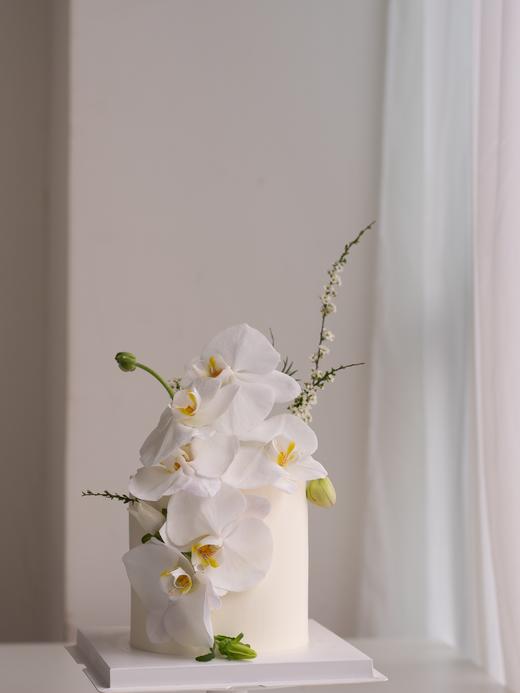 蝴蝶兰蛋糕 商品图0