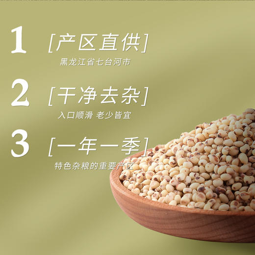 金贞熙糯高粱米（新鲜直供，真空包装） 商品图2