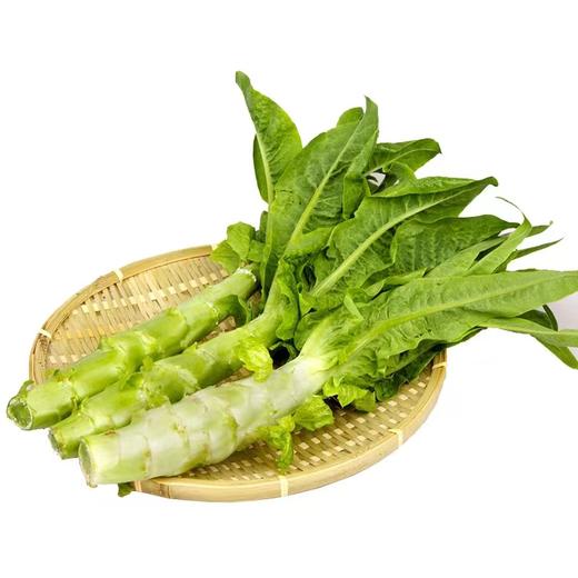 青笋（±50g/份）（严选） 商品图0