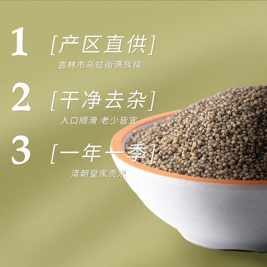 金贞熙绿小米（新鲜直供，真空包装） 商品图2