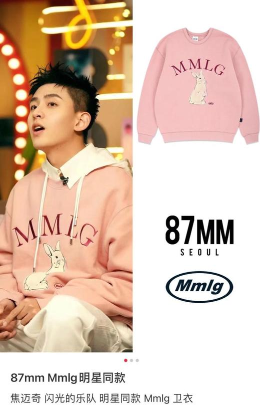 前兔无量 87MM1G 兔子刺绣印花圆领宽松套头毛圈卫衣  WY694 商品图3