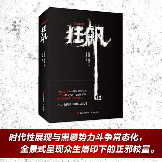 狂飙（官方授权 无删减版） 商品图1