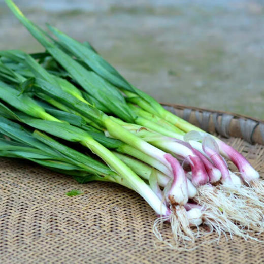 蒜苗 约500/份 商品图0