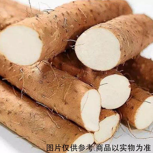 山药 约500g/份 商品图0
