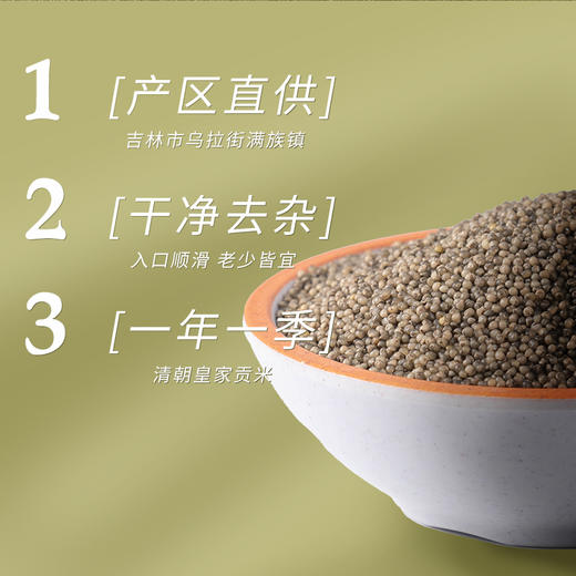 金贞熙黑小米（新鲜直供，真空包装） 商品图2