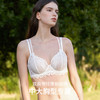 HSIA遐内衣女轻薄性感蕾丝胸罩新品双肩带提拉双杯面大胸显小文胸【青青绿叶】 商品缩略图1