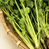 真蔬无公害-香菜 约150g/份 商品缩略图1