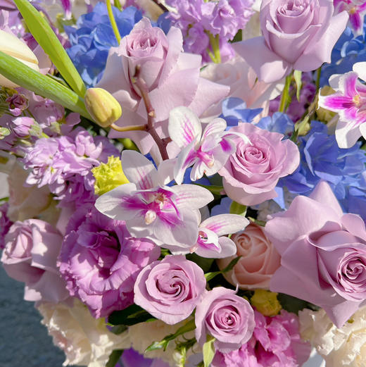 《仙境绮梦》梦幻优雅蝴蝶兰紫色抱抱桶 商品图2