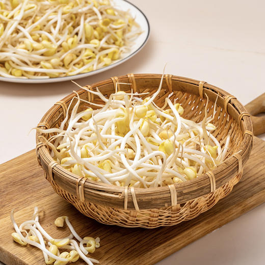 黄豆芽 约500/份 商品图1
