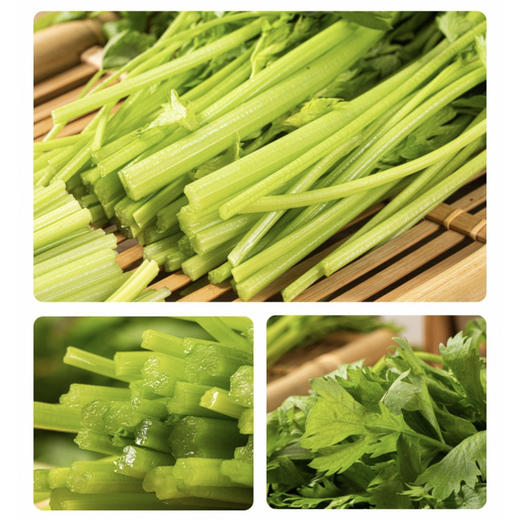 真蔬优选-毛芹菜 约500g/份 商品图2