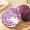 紫甘蓝 1个/份 商品缩略图3