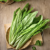 油麦菜 约500g/份 商品缩略图0