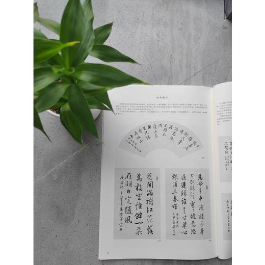 王羲之行书 商品图1