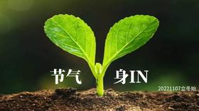 会员服务节气身in专栏