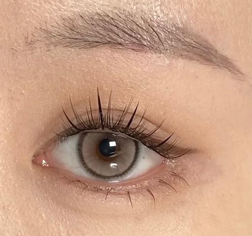 laseecon 年抛 芭提浅褐 直径14.2mm着色13.4mm 商品图13