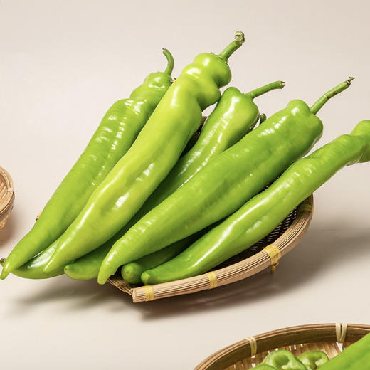 青椒 约500g/份 商品图0