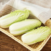 娃娃菜 1袋/份 商品缩略图4