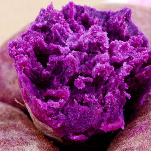 紫薯  约500/份 商品图3