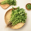 真蔬无公害-香菜 约150g/份 商品缩略图2