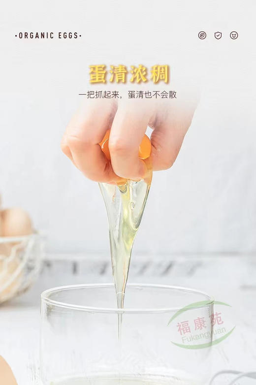 现货达西妮亚土鸡蛋10枚/60枚装 商品图11
