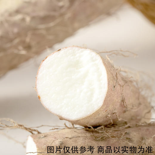 山药 约500g/份 商品图4