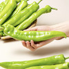 青椒 约500g/份 商品缩略图1